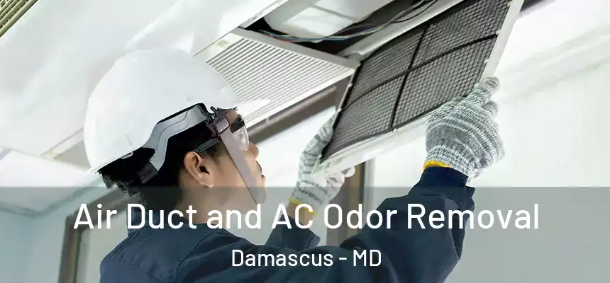  Air Duct and AC Odor Removal Damascus - MD