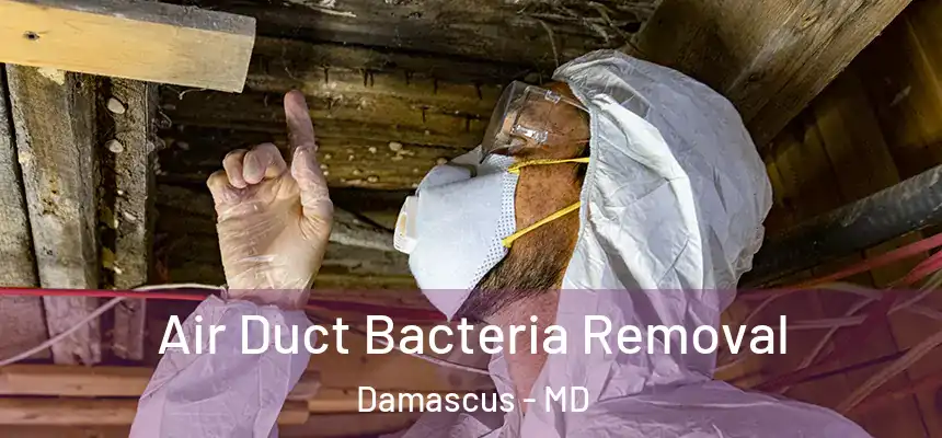  Air Duct Bacteria Removal Damascus - MD