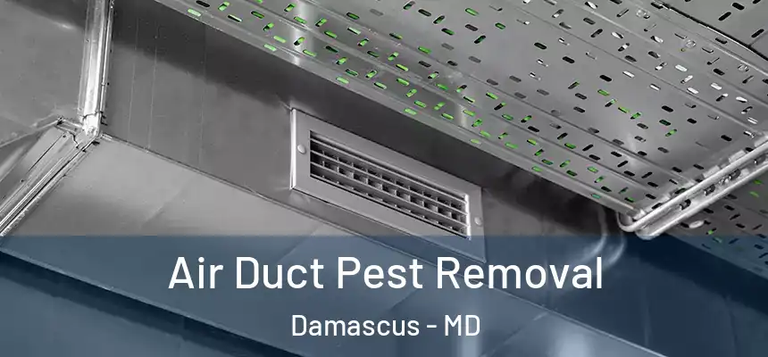  Air Duct Pest Removal Damascus - MD