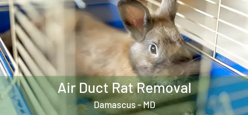  Air Duct Rat Removal Damascus - MD