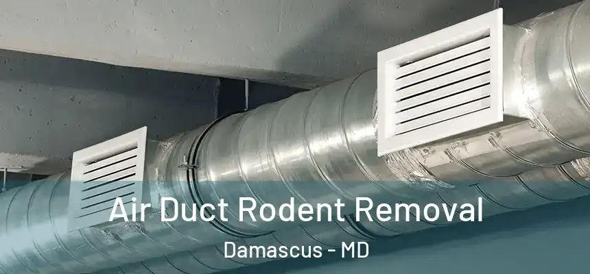 Air Duct Rodent Removal Damascus - MD