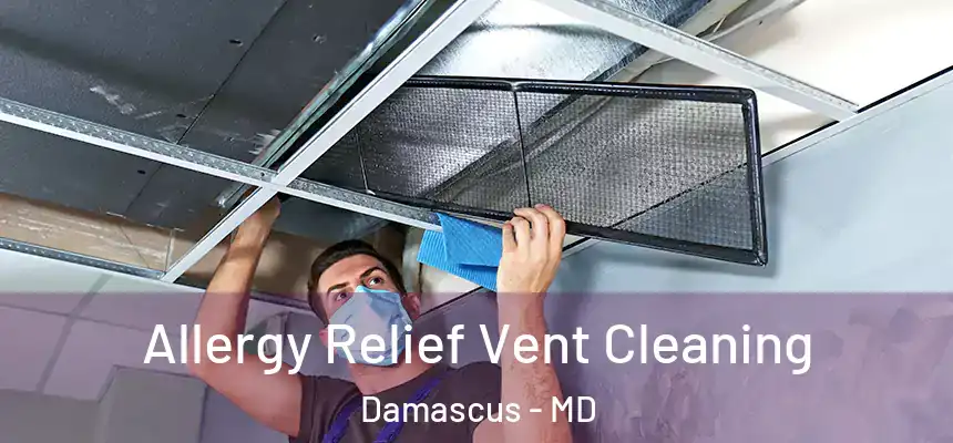 Allergy Relief Vent Cleaning Damascus - MD