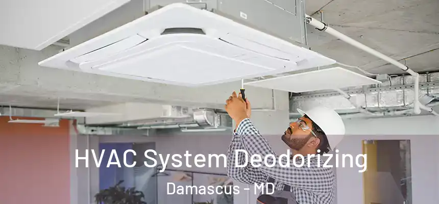 HVAC System Deodorizing Damascus - MD