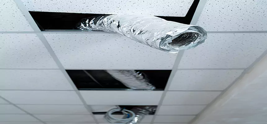 Affordable HVAC Sanitizing After Pest Removal in Damascus