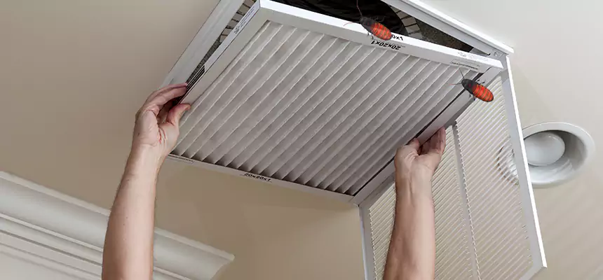 Our Insect Removal from Air Ducts Services in Damascus, MD