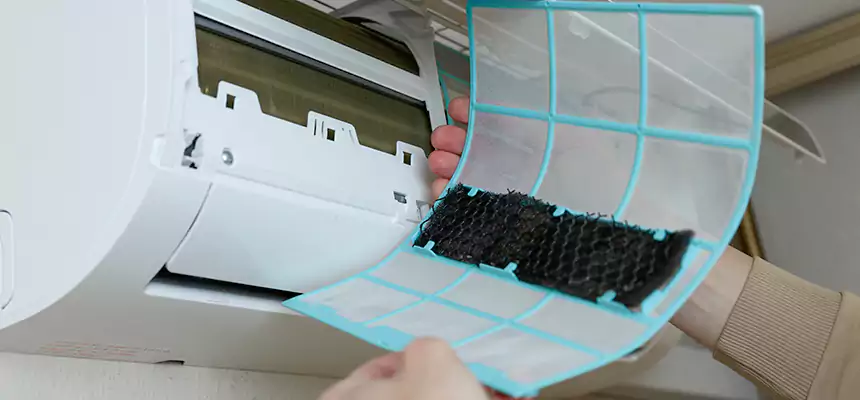 Gentle Ductwork Odor-Control Pet Dander Duct Cleaning in Damascus, MD