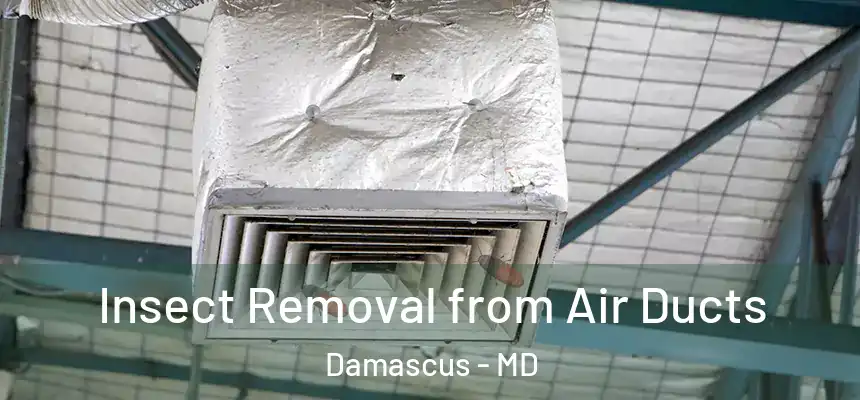 Insect Removal from Air Ducts Damascus - MD