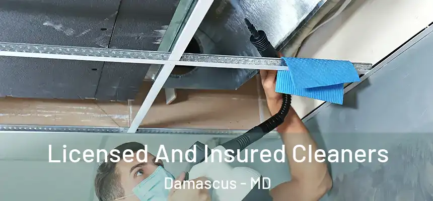  Licensed And Insured Cleaners Damascus - MD