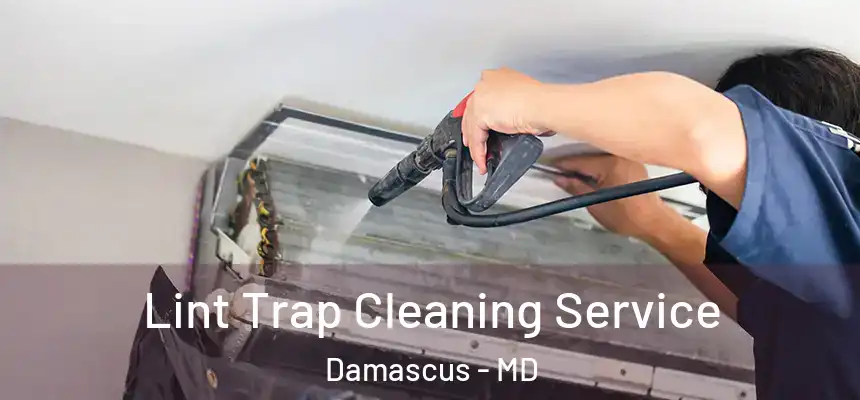 Lint Trap Cleaning Service Damascus - MD