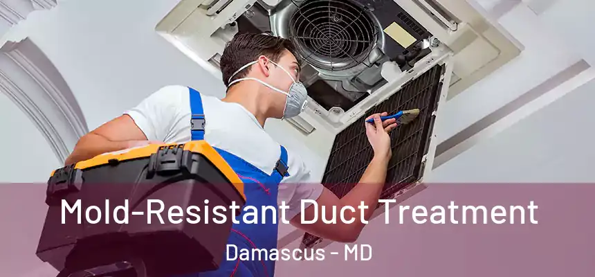 Mold-Resistant Duct Treatment Damascus - MD
