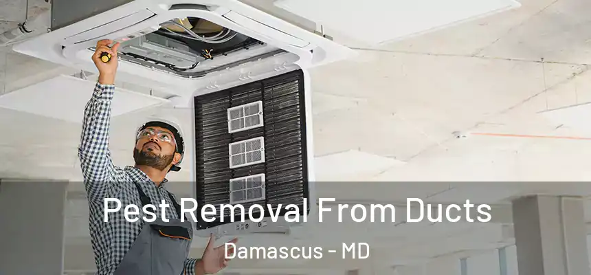 Pest Removal From Ducts Damascus - MD
