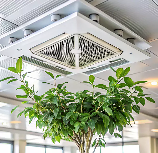 Why Homeowners & Businesses Trust Us in Damascus, MD?