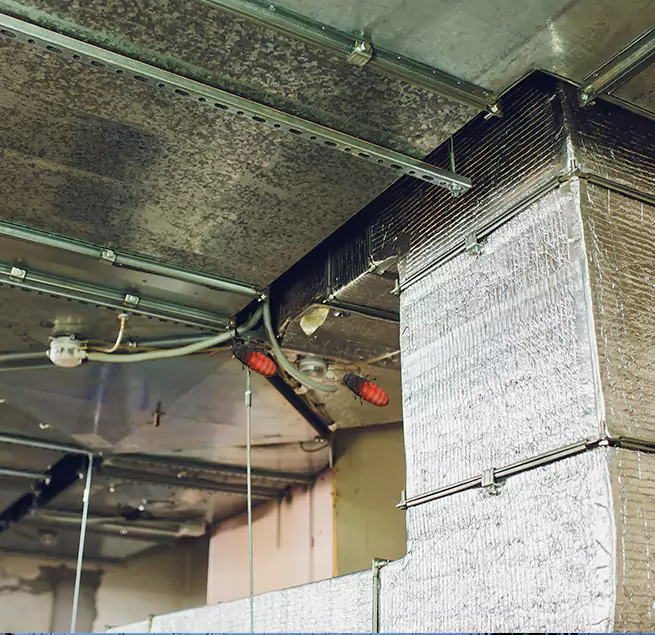 Why Homeowners & Businesses Trust Us Damascus, MD?