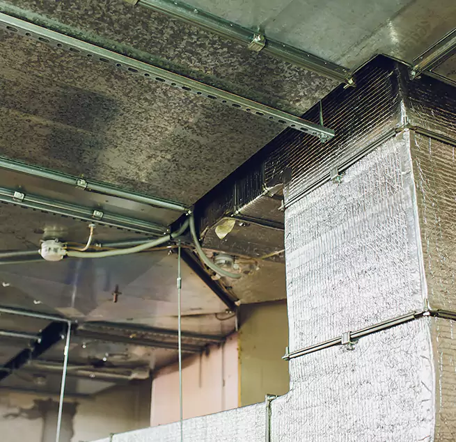 Why Homeowners & Businesses Trust Us in Damascus, MD?